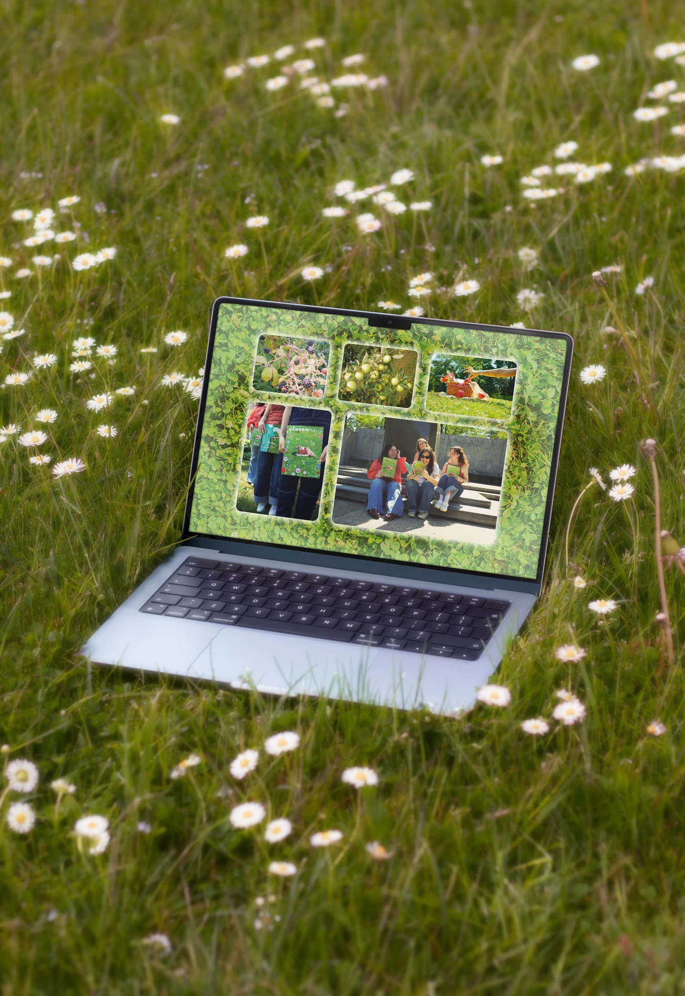 The Glasshaus website open on a laptop in the daisies